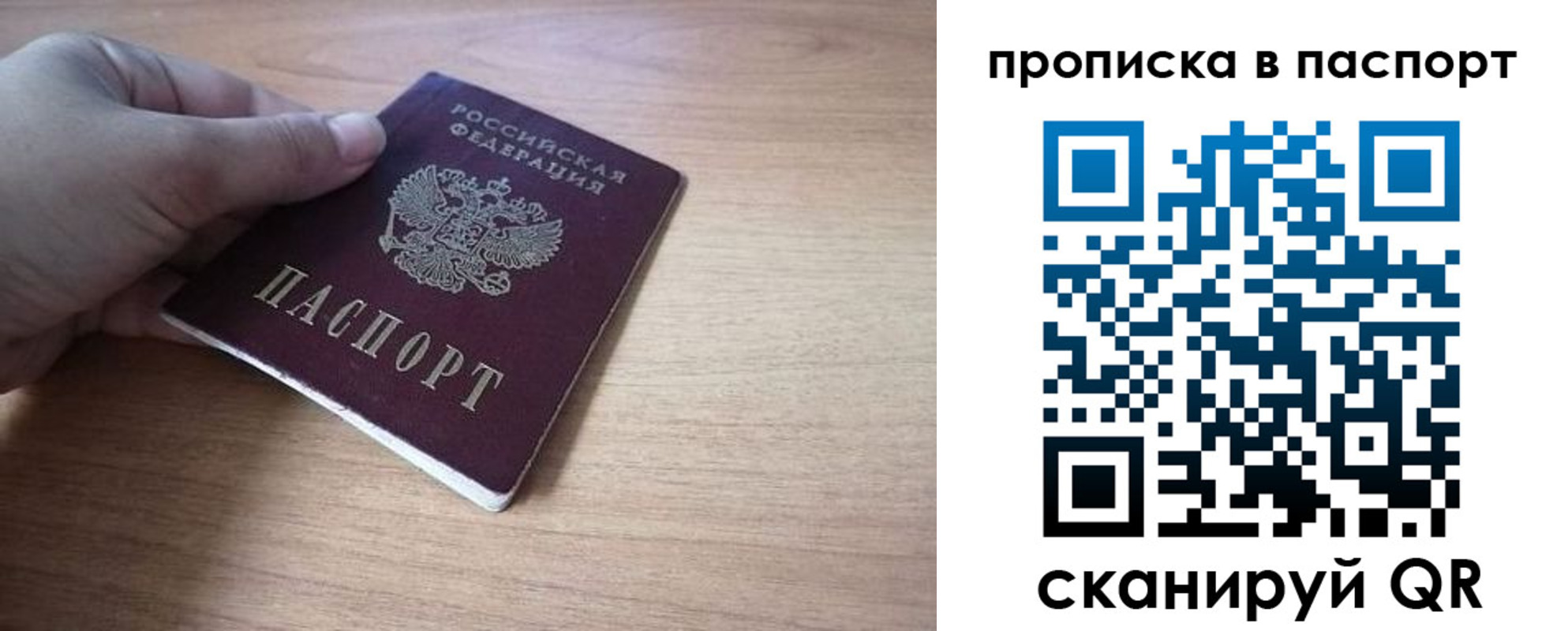 прописка для школы в Домодедово